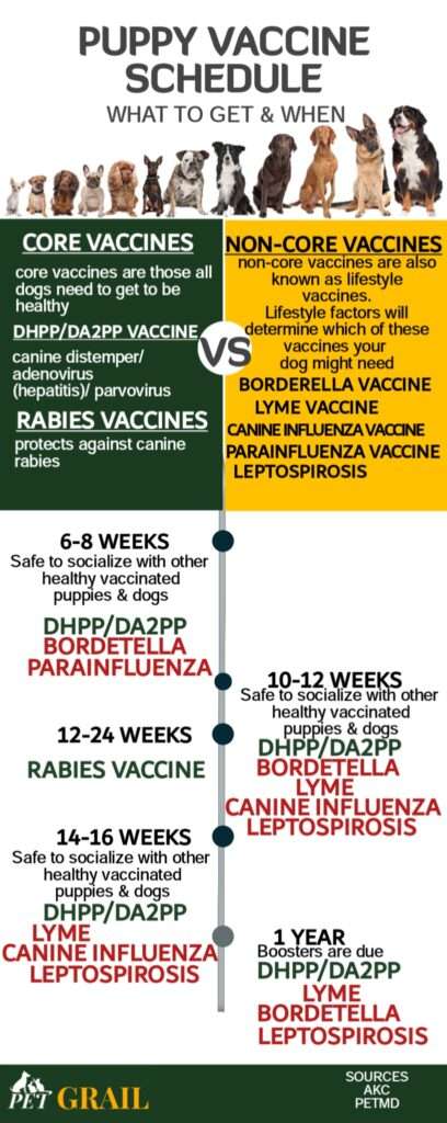 puppy vaccine schedule