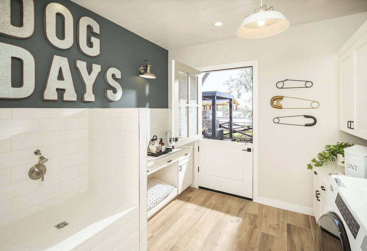 Before designing a indoor dog room, assess the available space
