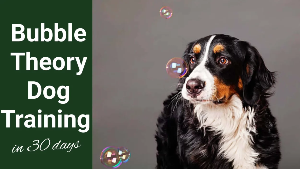 Bubble Theory Dog Training in 30 Days