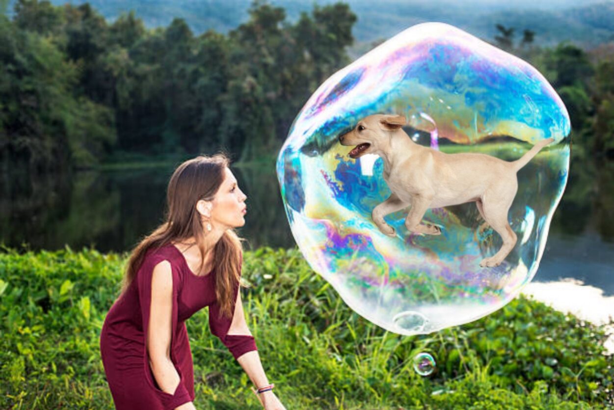 Bubble Theory Dog Training in 30 Days