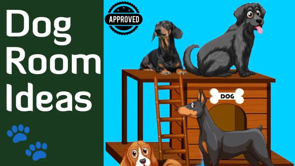 dog room Ideas you should try