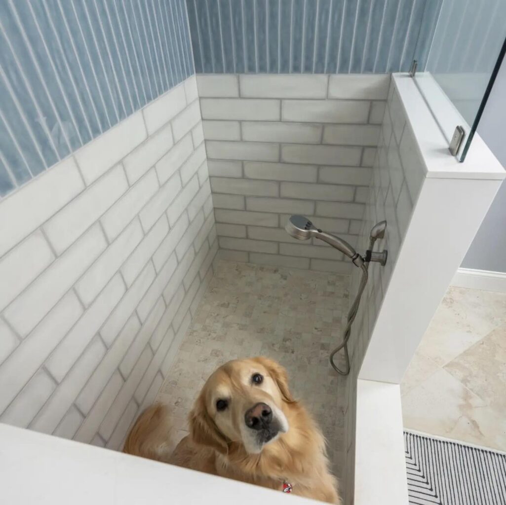 Dog Wet Room Ideas