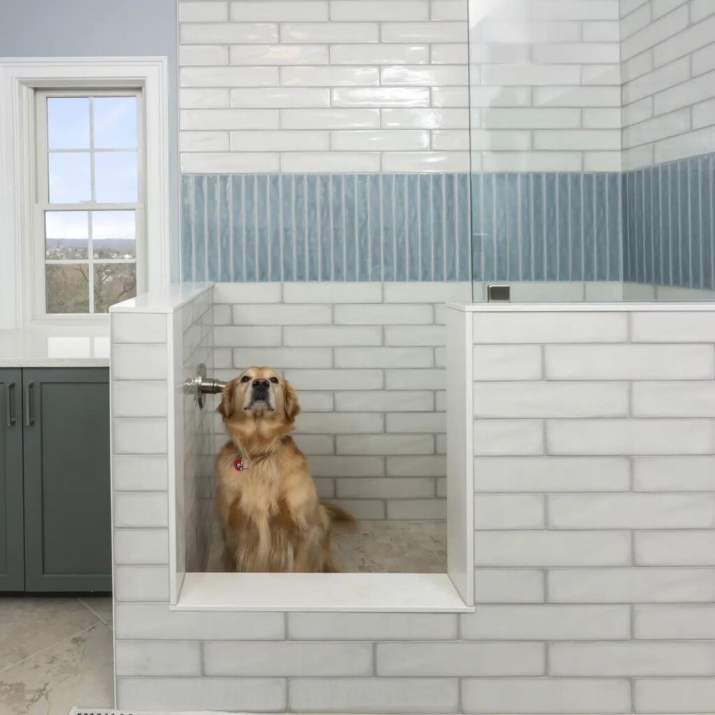 best Dog Wet Room Ideas with sink