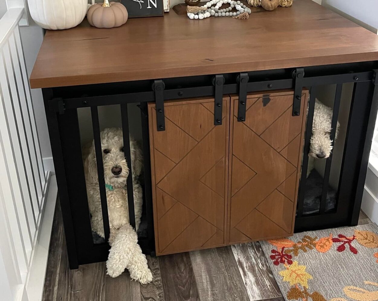 you can convert your garage to a dog room kennel