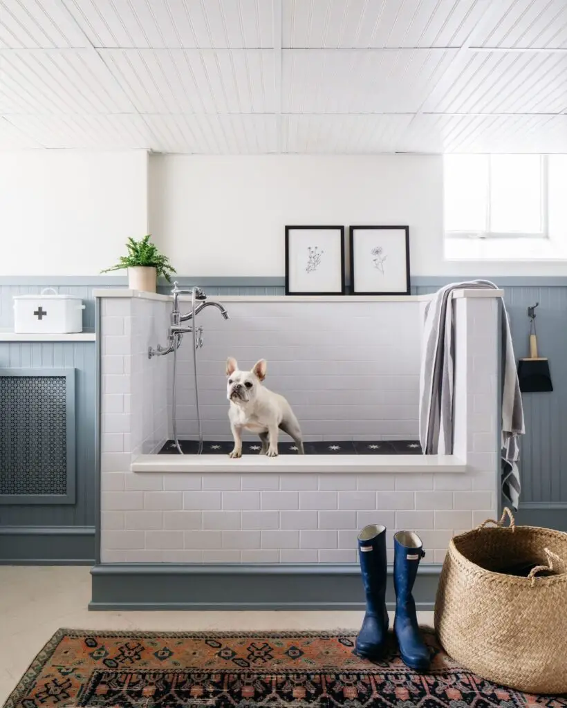 build a dog wash station in laundry room