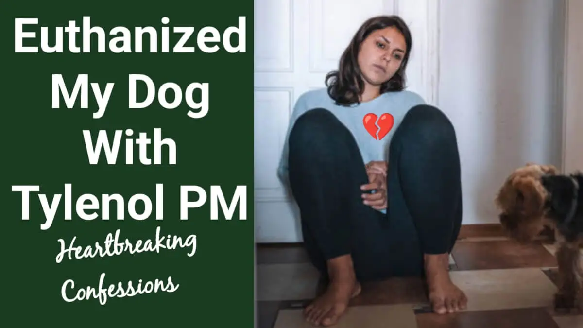 I Euthanized My Dog With Tylenol PM: Heartbreaking Confession